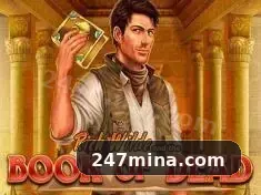 Feedback 247mina
